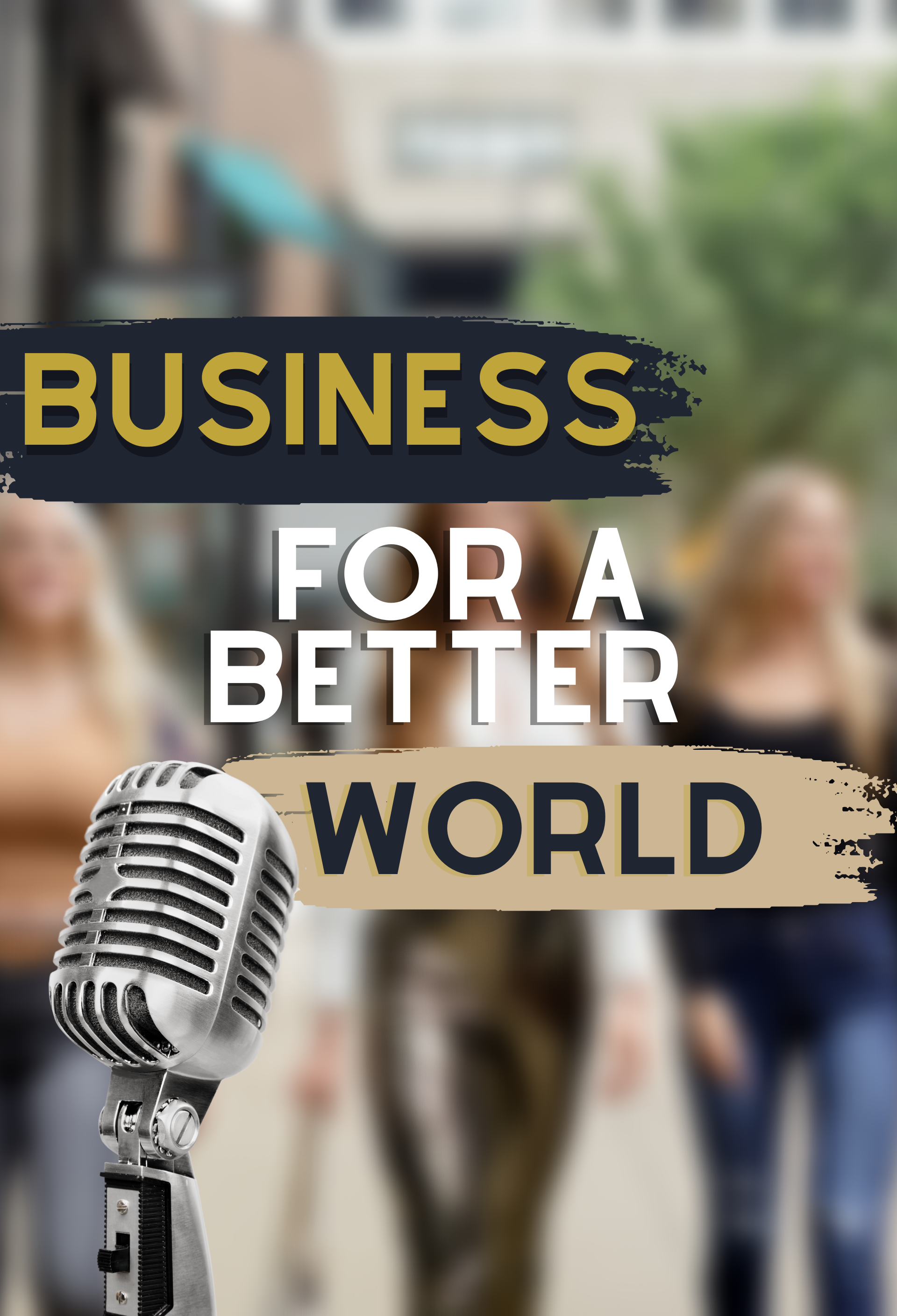 Business for a better world, daily herald interview